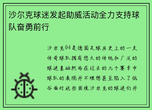 沙尔克球迷发起助威活动全力支持球队奋勇前行