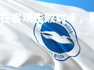 星空体育官网-波鸿在客场击败对手，取得关键胜利，波鸿集团
