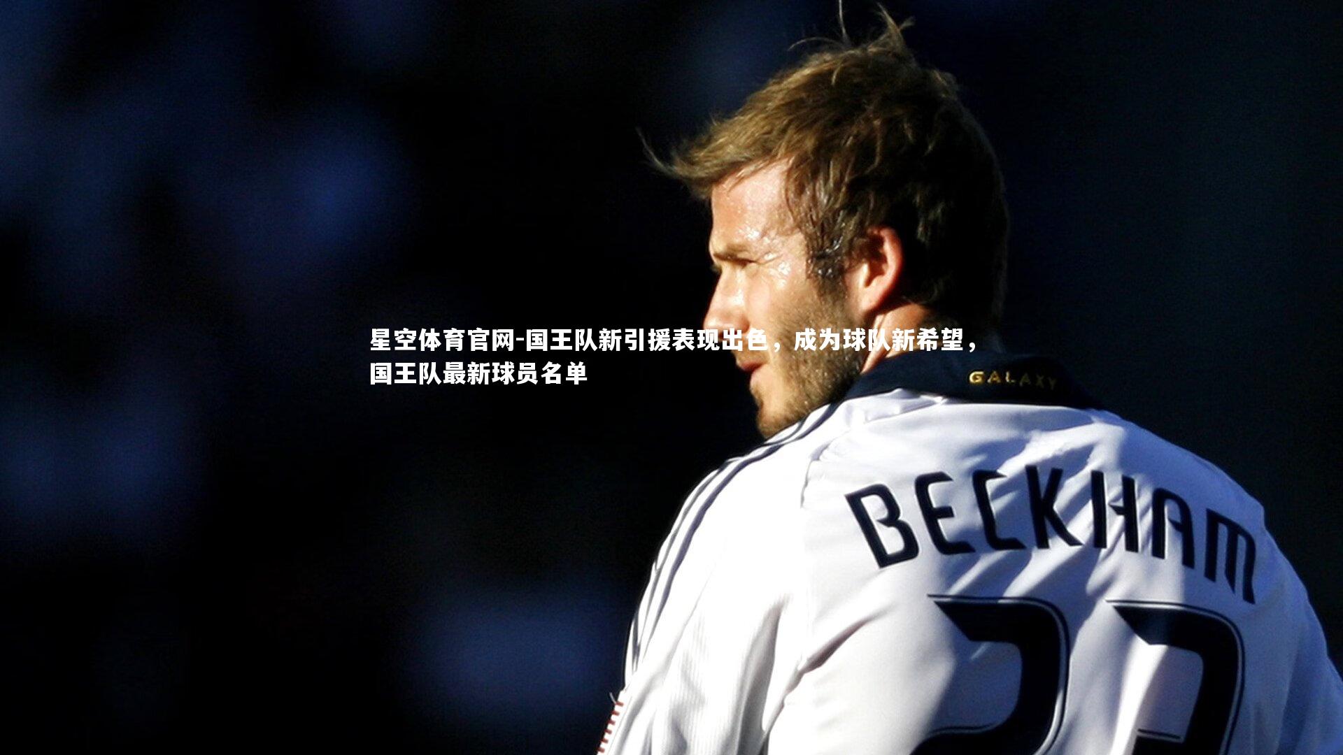 国王队新引援表现出色,成为球队新希望,国王队最新球员名单