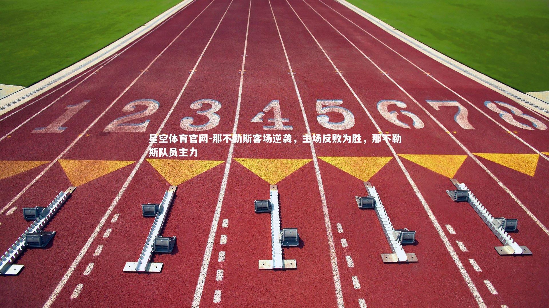 那不勒斯客场逆袭,主场反败为胜,那不勒斯队员主力