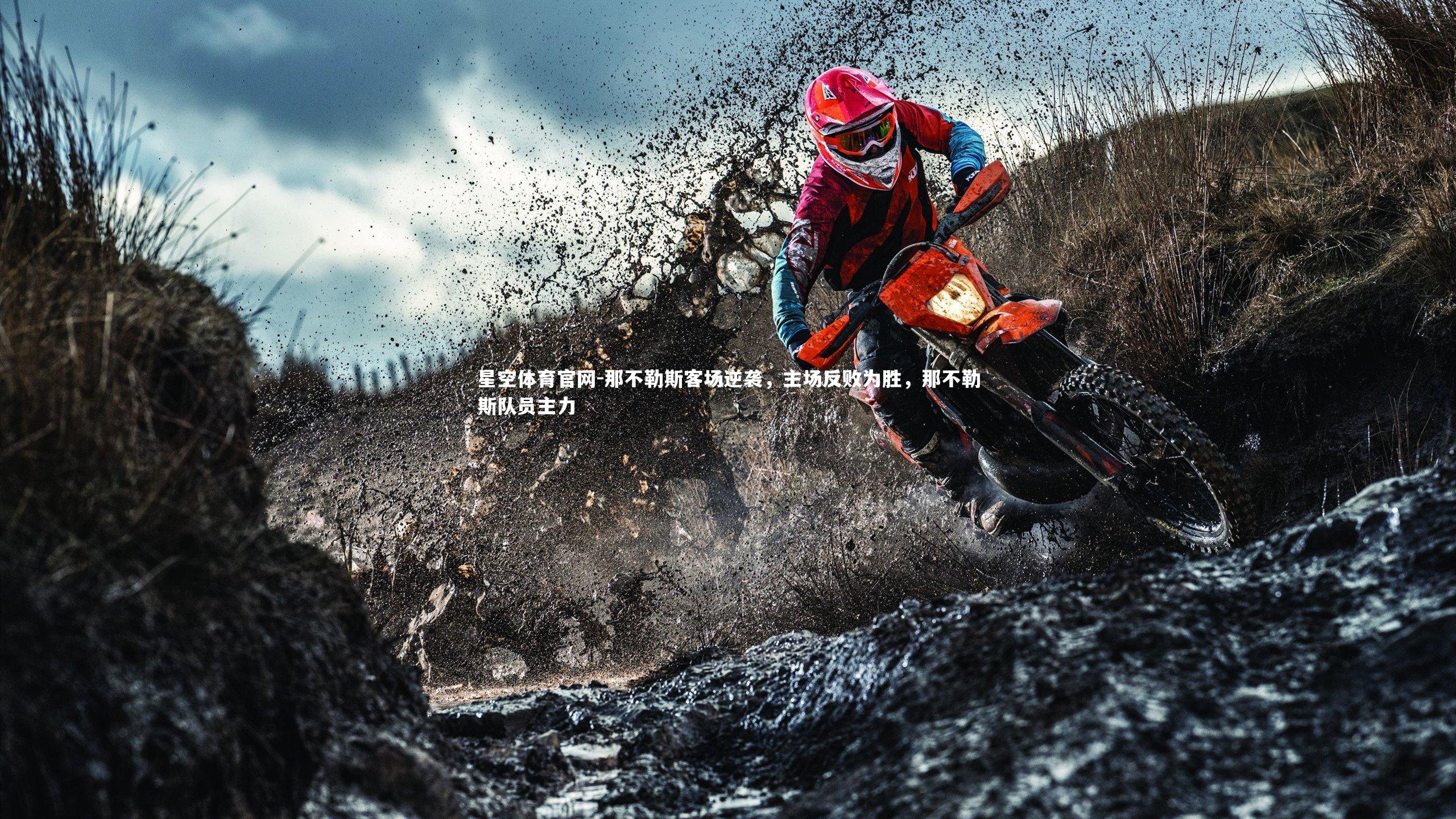 那不勒斯客场逆袭,主场反败为胜,那不勒斯队员主力