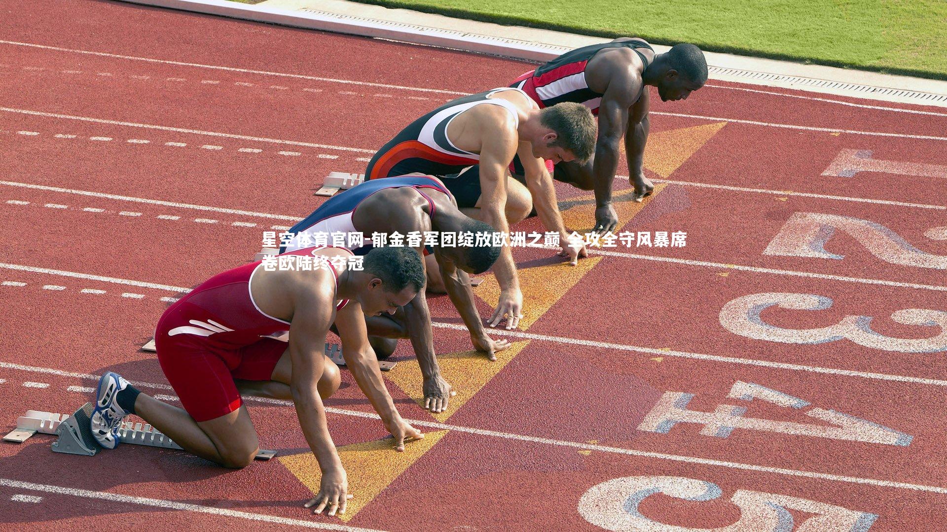 郁金香军团绽放欧洲之巅 全攻全守风暴席卷欧陆终夺冠