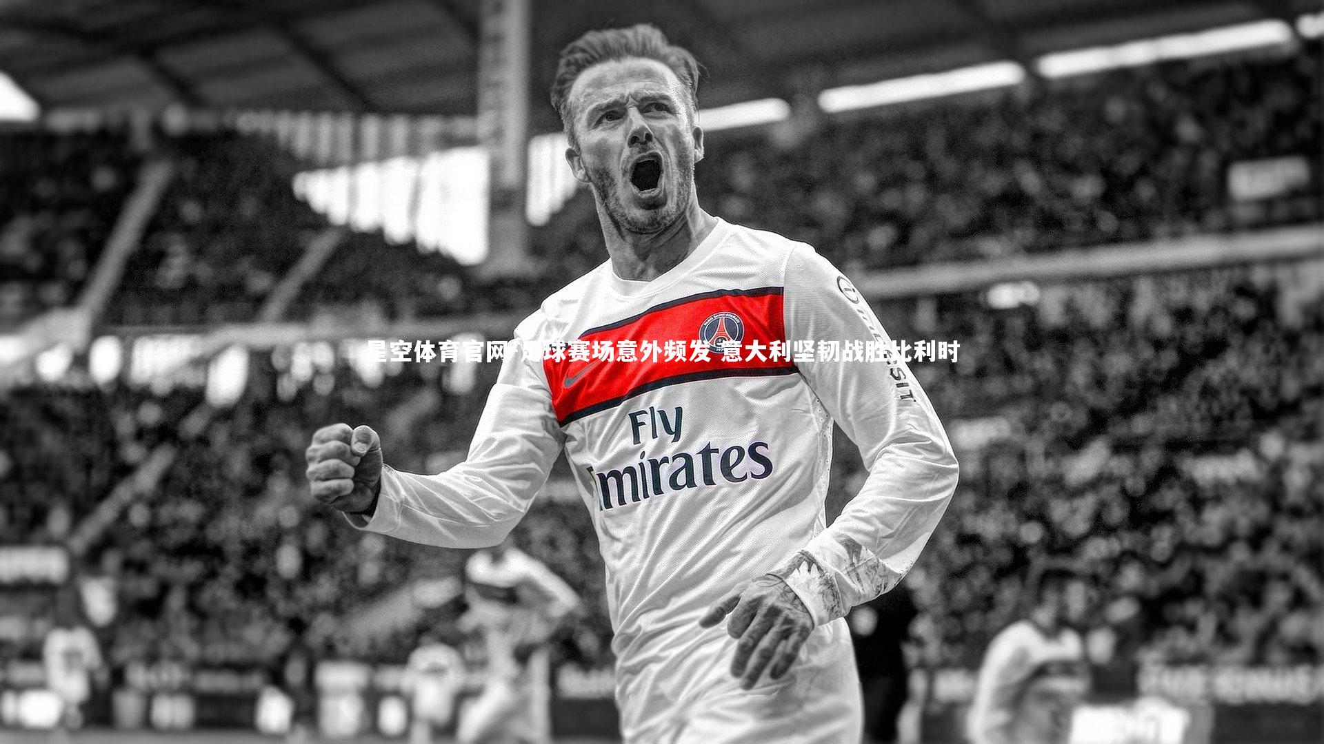 足球赛场意外频发 意大利坚韧战胜比利时