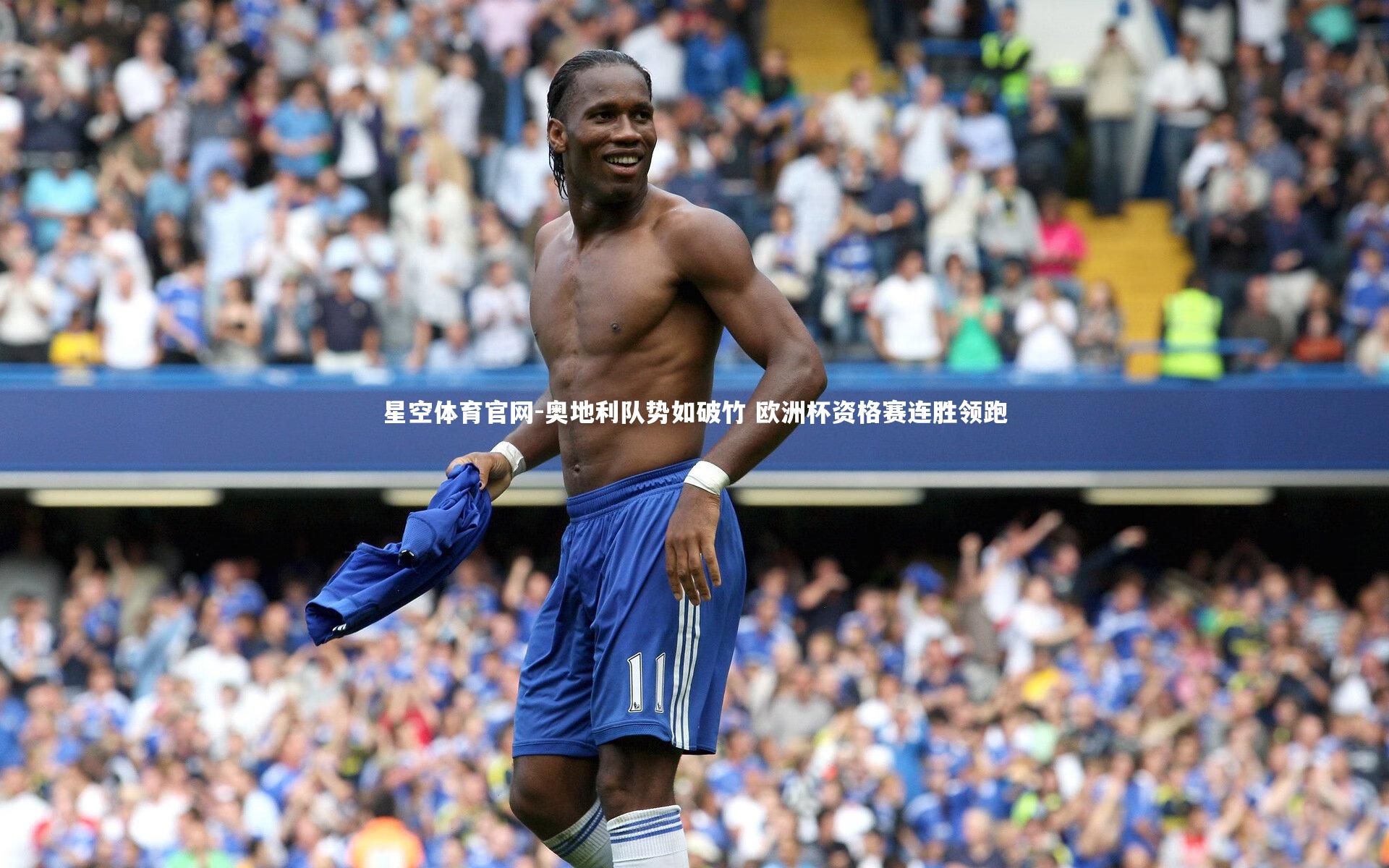 奥地利队势如破竹 欧洲杯资格赛连胜领跑